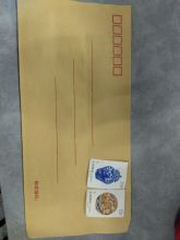 天力 110*220mm 定制加厚牛皮纸信封（含邮票） 黄色（单位：个）