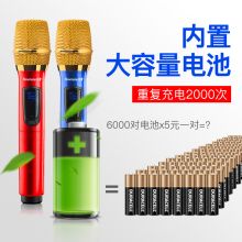 纽曼 NM-189 无线麦克风 一拖二电脑家用KTV音响 户外演讲会议K歌话筒
