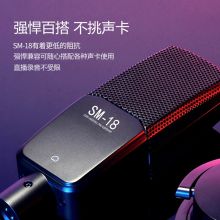 得胜 SM-18专业录音棚麦克风 （单位：套）
