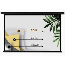 得力(deli) 50443 120英寸 16：10 壁挂式遥控投影幕布  (计价单位：副)黑色