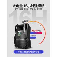 新科 S29 15寸专业版 移动拉杆音箱 便携式家用唱歌蓝牙大功率 黑色 (单位:个)