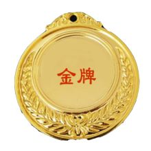 国产 大号LOGO定做 奖牌 铜色(单位：个）