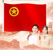 国产 5号 团旗 配色（单位：面）