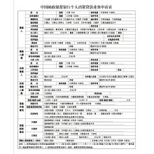 国产 SX-JK11 A4 定制 个人消费贷款申请表（单位：本）