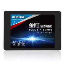 金胜 E300 SATA Ⅲ 120G 固态硬盘（单位：个）