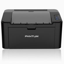奔图（PANTUM） P2500 黑白激光单功能打印机 黑色（单位：台）