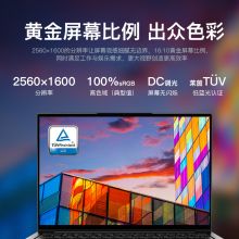 联想 Yoga13s  2021 笔记本电脑  R5-5600U/16G/1T SSD/集显/2.5K屏/win10/含包鼠 灰色（单位：台）
