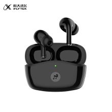 科大讯飞/iFLYTEK  XFXK-B02 真无线蓝牙 耳机  主动降噪入耳式 黑色
