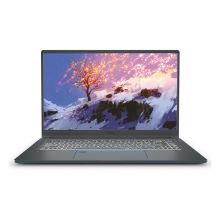 微星 MSI 尊爵 PRESTIGE 15 A10SC-220CN笔记本电脑