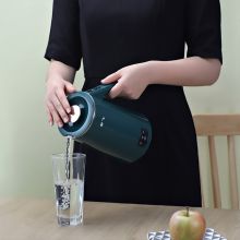 新飞 XFSH-0601 春水怡人便携式电热水壶600ML 绿色 （单位：台）