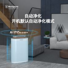 西屋 AWT-3700 负离子净化 空气净化器 白色（单位：台）