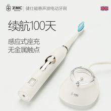 皇家盾牌ZNC ZH3802 电动牙刷 白色（单位：个）