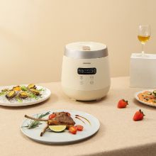 大宇 DYFB-206H低糖 迷你电饭煲 （单位：台）