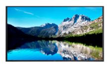 NEC V552 55寸液晶显示器 黑色 (单位：台）