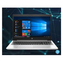 惠普 HP ProBook 450 G7-6601010005A 便携式计算机 i7-10510U(1.8 GHz/8 MB/四核)/15.6寸屏/8G DDR4 2666Mhz(1根)内存/256G M2 PCIe NVMe SSD固态硬盘/2G显寸/无光驱/麒麟操作系统（桌面版）V4/包鼠/一年保修 银色（单位：台）