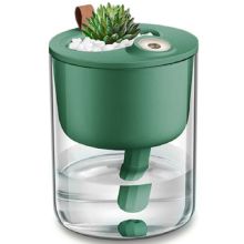 布谷 BG-HD21 小型桌面香薰usb 空气加湿器 绿色（单位：个）