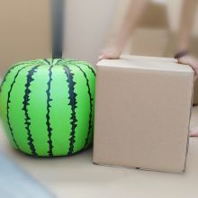新苏园 57*23*45CM 4格饭盒纸箱（单位：只）