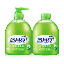蓝月亮 500g+500g 芦荟洗手液+芦荟洗手液瓶补 绿色  （单位：组）