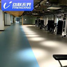 动联无界 加厚商用4.0mm 室内PVC地胶 红色（单位：平方米）