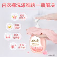 蓝月亮 10001755 内衣洗衣液内衣洗衣液500g 粉色 （单位：瓶）