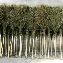 巧彩格 扫把工厂车间专用家里庭院手工小扫把 （单位：把）