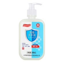 胜涤 500ml 杀菌灭菌 消毒洗手液（单位：瓶）